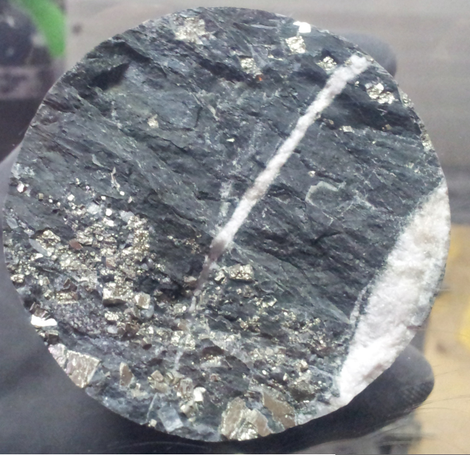 The rock sample containing the cyanobacteria.